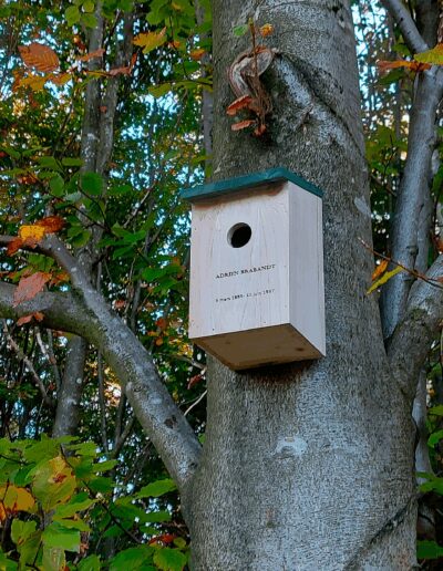 Nichoir personnalisé