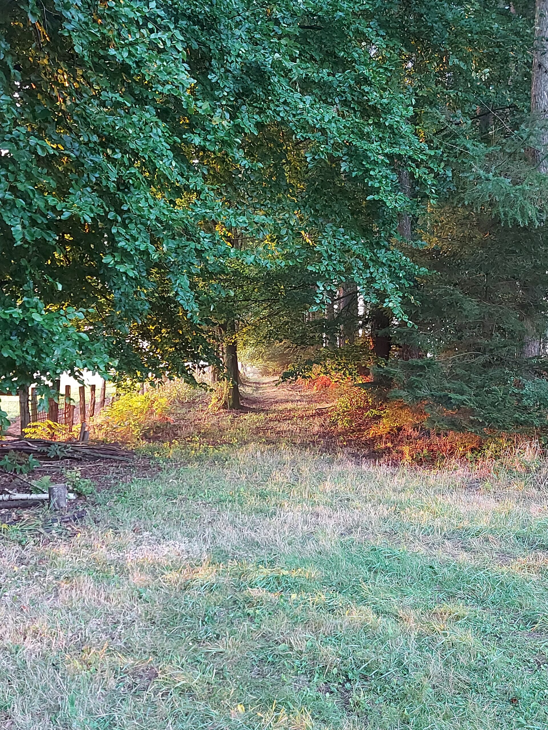 promenade-après-dispersion-cendres