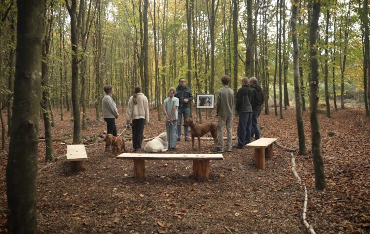cérémonie-animaux-forêt-cinéraire